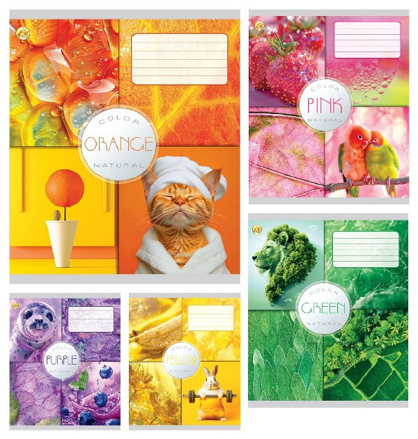 Зошит 18 арк. лінія "Тетрада" / Кольорова