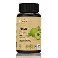 Амла Джива Amla Jiva 120 таб індійський крижівник, джерело вітаміну C у натуральній формі