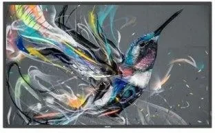 Монітор Philips 65Bdl3511Q/00, фото 1