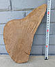 Зріз дерева для декору, творчості, рукоділля (не оброблений) 350х200мм., фото 6