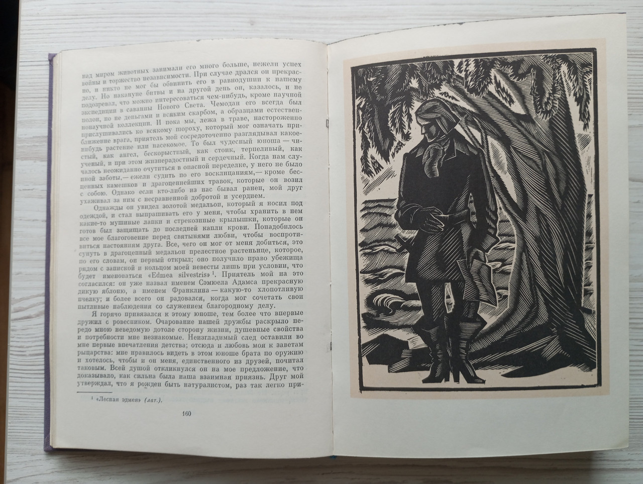 Product image preview