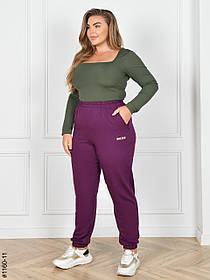 1160-11 Спортивні штани жіночі турецька двунитка батал (4 од: 54,56,58,60)