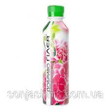 Гілея Добриво для азалій та гортензій 250 мл, фото 1