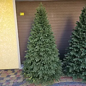 Лита ялинка Швейцарська 2.10м. зелена