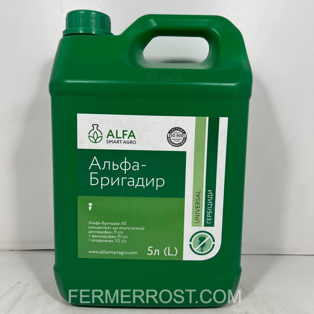 Гербіцид Альфа-Бригадир (ALFA Smart Agro) 5л, фото 1