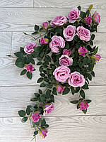 Ампельний кущ троянди . Декоративний кущ троянд (  рожева 85 см ), фото 3