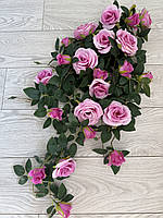 Ампельний кущ троянди . Декоративний кущ троянд (  рожева 85 см ), фото 2