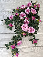 Ампельний кущ троянди . Декоративний кущ троянд (  рожева 85 см ), фото 5