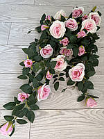 Ампельний кущ троянди . Декоративний кущ троянд ( ніжно-рожева 85 см ), фото 4