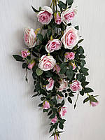 Ампельний кущ троянди . Декоративний кущ троянд ( ніжно-рожева 85 см ), фото 8