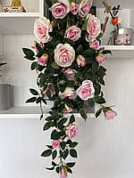 Ампельний кущ троянди . Декоративний кущ троянд ( ніжно-рожева 85 см ), фото 9