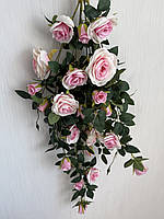 Ампельний кущ троянди . Декоративний кущ троянд ( ніжно-рожева 85 см ), фото 2