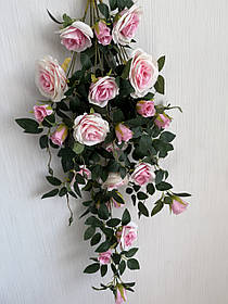 Ампельний кущ троянди . Декоративний кущ троянд ( ніжно-рожева 85 см )