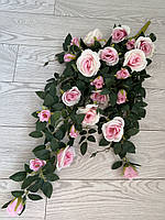 Ампельний кущ троянди . Декоративний кущ троянд ( ніжно-рожева 85 см ), фото 5