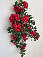 Ампельний кущ троянди . Декоративний кущ троянд (червона 85 см ), фото 3