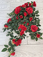 Ампельний кущ троянди . Декоративний кущ троянд (червона 85 см ), фото 7