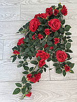 Ампельний кущ троянди . Декоративний кущ троянд (червона 85 см ), фото 5