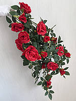 Ампельний кущ троянди . Декоративний кущ троянд (червона 85 см ), фото 6