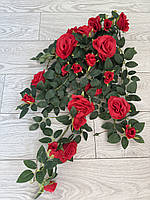 Ампельний кущ троянди . Декоративний кущ троянд (червона 85 см ), фото 8