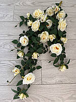 Ампельний кущ троянди . Декоративний кущ троянд ( молочна , 85 см ), фото 9