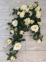 Ампельний кущ троянди . Декоративний кущ троянд ( молочна , 85 см ), фото 3