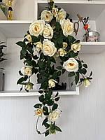 Ампельний кущ троянди . Декоративний кущ троянд ( молочна , 85 см ), фото 7