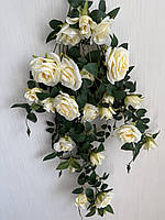 Ампельний кущ троянди . Декоративний кущ троянд ( молочна , 85 см ), фото 4