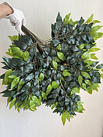 Штучна гілка рускусу з латексу — 70×60 см, фото 2