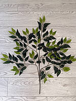 Штучна гілка рускусу з латексу — 70×60 см, фото 5