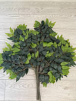 Штучна гілка рускусу з латексу — 70×60 см, фото 7