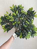 Штучна гілка рускусу з латексу — 70×60 см, фото 9