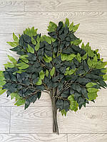 Штучна гілка рускусу з латексу — 70×60 см, фото 6