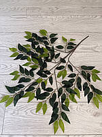 Штучна гілка рускусу з латексу — 70×60 см, фото 4