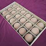 Набір куль ялинкових "Оксамит" 18 шт. Нюдовий Бежевий D-8см. Подарунковий набір ялинкових кульок Кульки на ялинку, фото 5