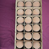 Набір куль ялинкових "Оксамит" 18 шт. Нюдовий Бежевий D-8см. Подарунковий набір ялинкових кульок Кульки на ялинку, фото 4