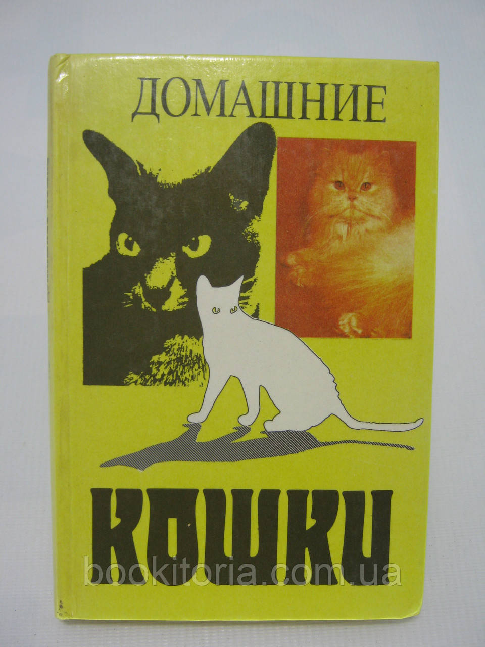 Домашні кішки (б/у).