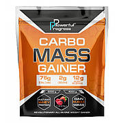 Порошок Carbo Mass Gainer - 4000g Forest Fruit (100-63-7671625-20)