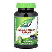 Жувальні таблетки Nature's Way Ashwagandha Gummy - 90 gummies (2023-10-4679)
