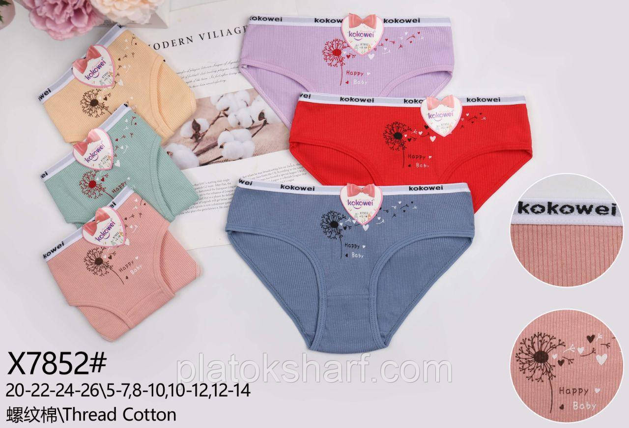 Труси дитячі дівчинка «Hello Слоник» до 12 років (7852)