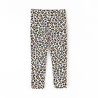 Лосини для дівчинки Leo