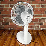 Компактний настільний вентилятор Grunhelm 40 Вт тихий вентилятор для будинку діаметр 300 мм із нахилом 15 кв.м., фото 4