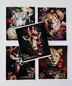 Зошит у клітку 48 аркушів The new ambience (3371(48к)) Star