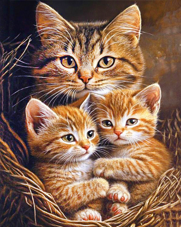 Алмазна мозаїка Кішка з кошенятами My-Art AR-3277 (40 x 50 см) + стрази AB+FD на підрамнику, фото 1