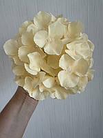 Штучна гортензія . Голівка штучної гортензії ( молочна , 17 см ), фото 4