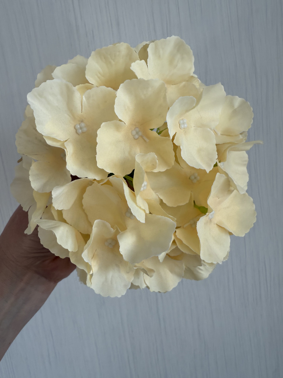 Штучна гортензія . Голівка штучної гортензії ( молочна , 17 см ), фото 1