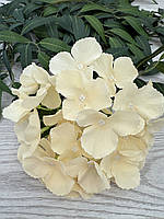 Штучна гортензія . Голівка штучної гортензії ( молочна , 17 см ), фото 2