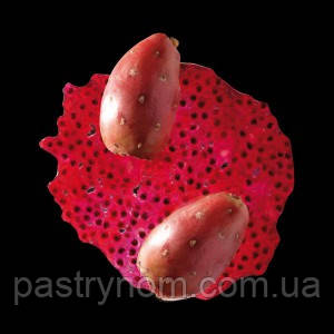 Пюре з опунції заморожене Ponthier 1 кг, фото 2
