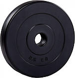 Гантель набірна Fit-On Chrome 1x6кг, фото 2