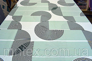 Бязь Ранфорс Вініл, фото 4