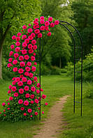 Арка садова (пергола) 140*38*240см Польща